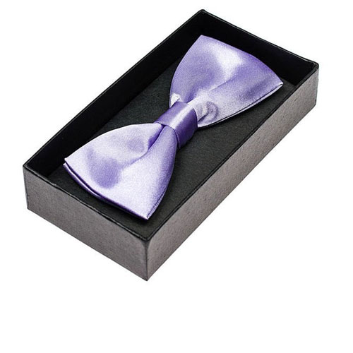 Papion elegant pentru bărbat violet
