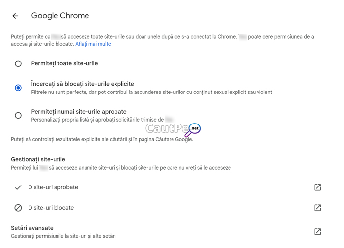 Limitare acces site-uri Google Chrome - Family Link